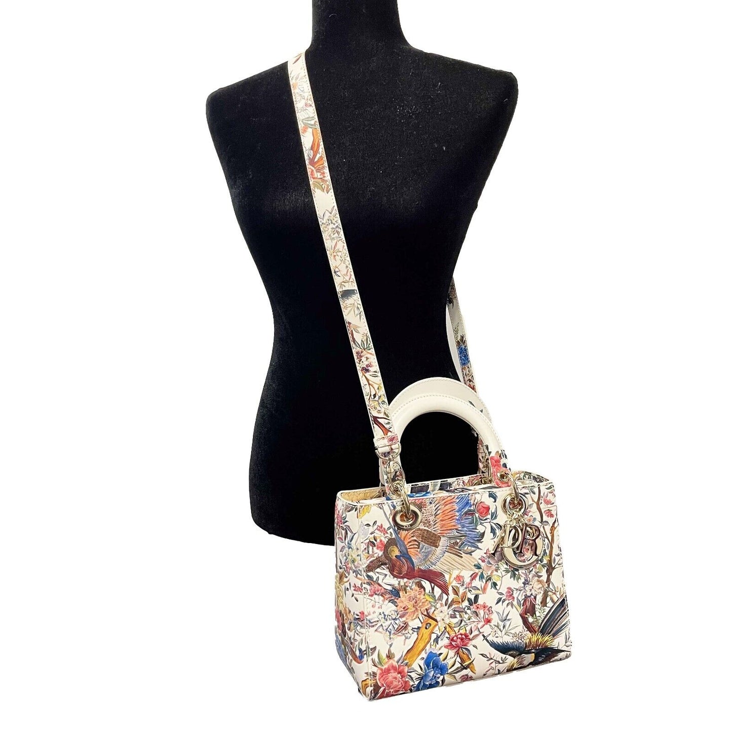 Dior - Medium Lady Dior - Jardin D'Hiver Hand Painted Leather - Top Handle Strap