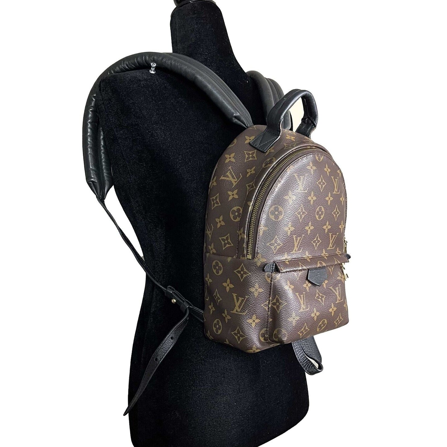 Louis Vuitton Monogram Canvas Palm Springs PM Brown Backpack