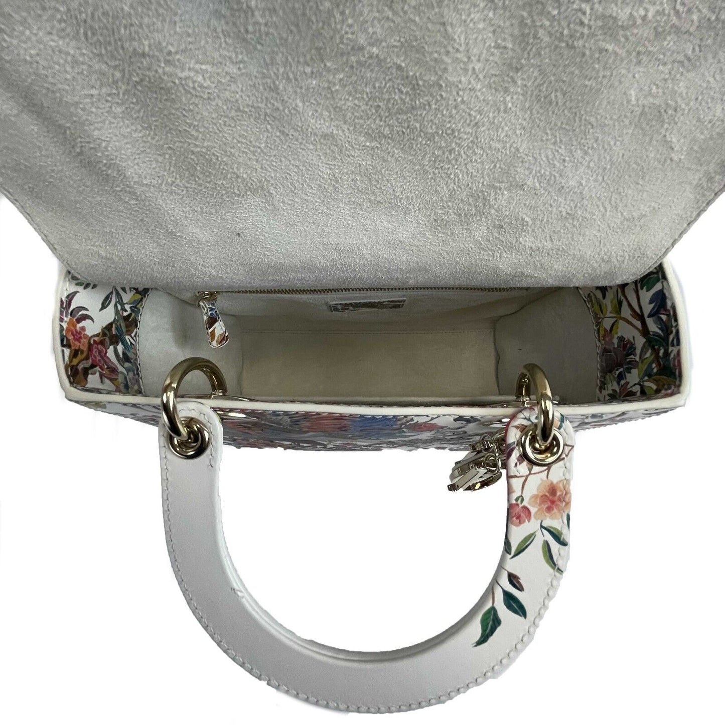 Dior - Medium Lady Dior - Jardin D'Hiver Hand Painted Leather - Top Handle Strap