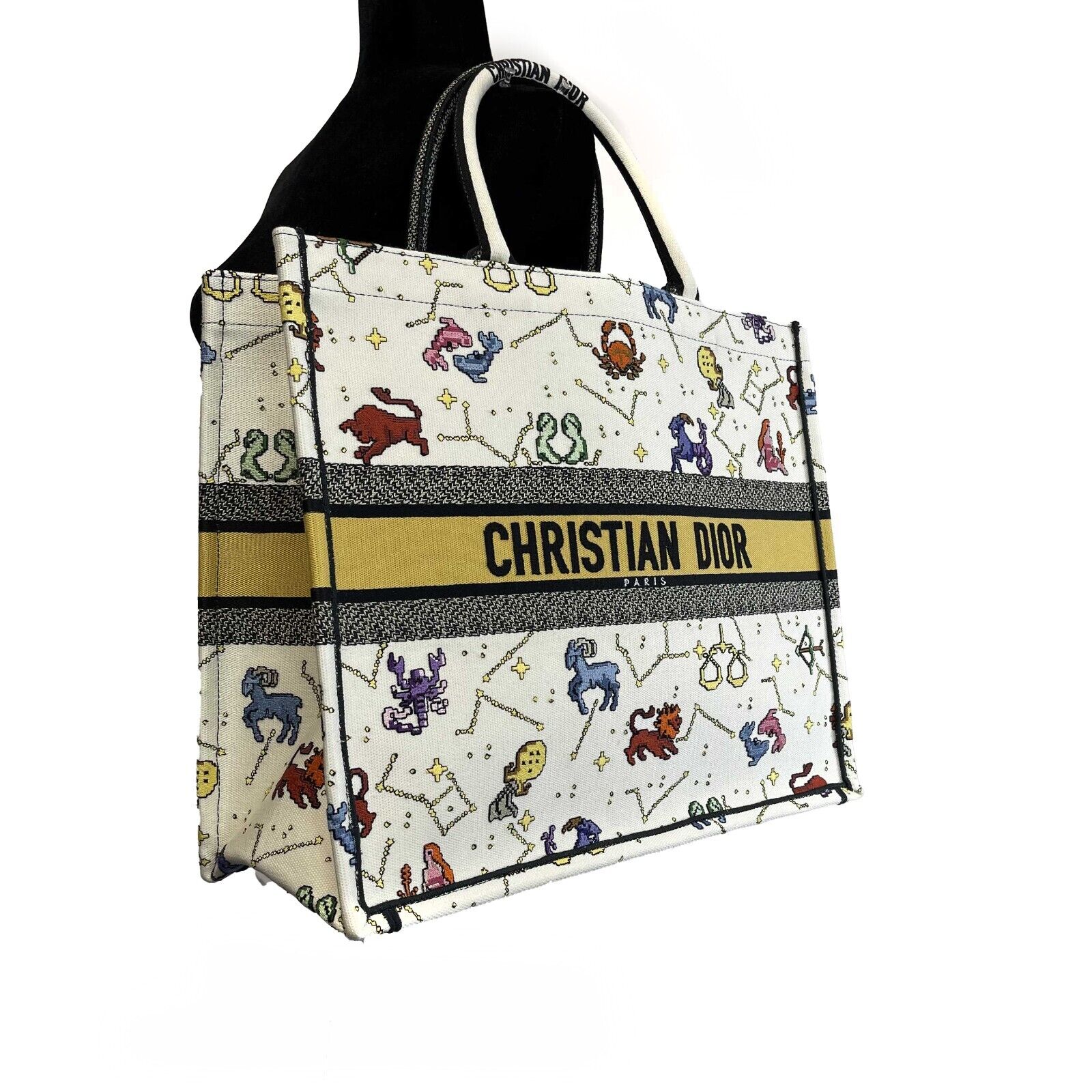 Christian Dior - NEW 2022 Large Pixel Zodiac Embroidered Canvas Book T -  BougieHabit